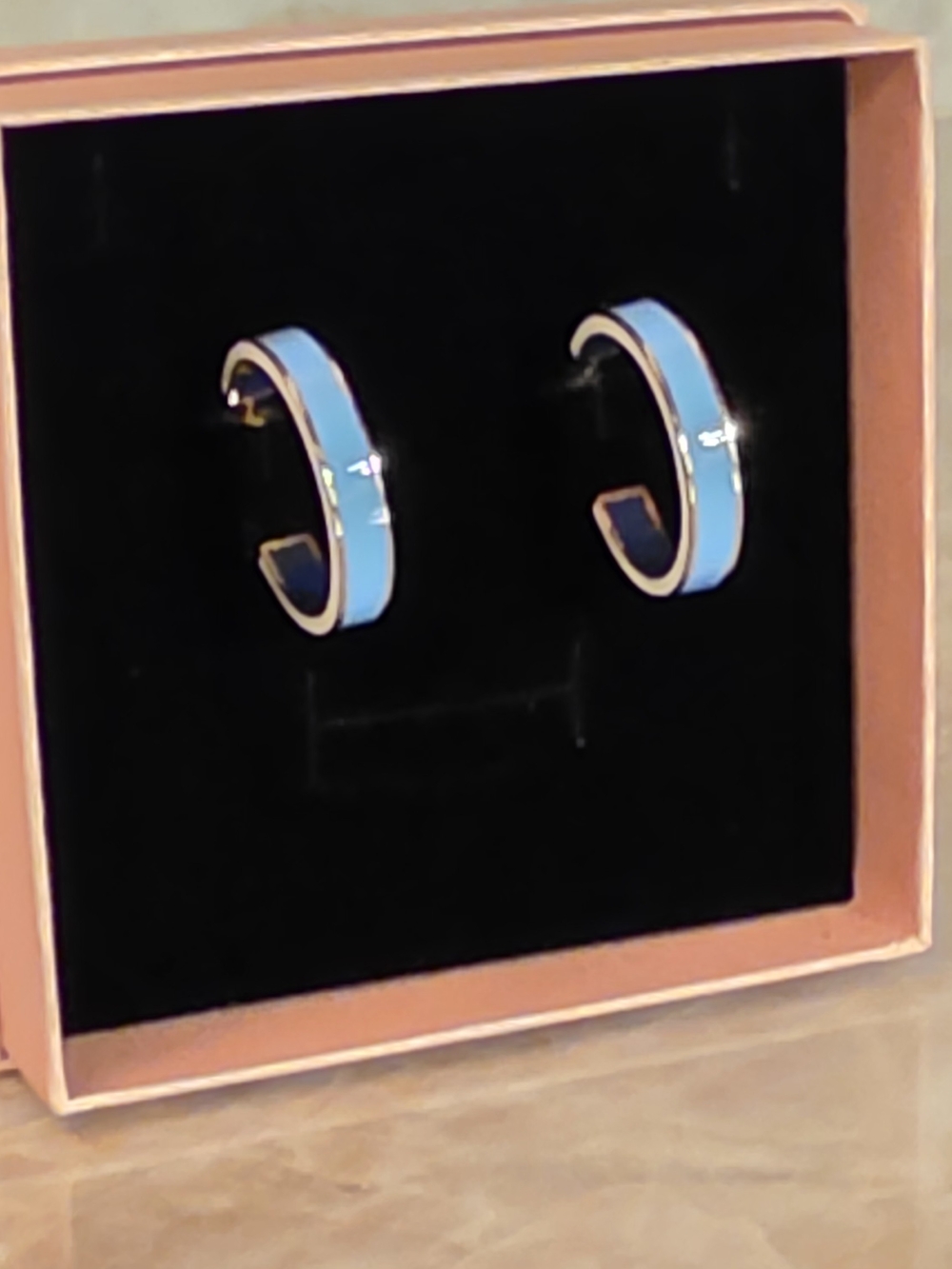 Blue Enamel Hoop Earrings - Women Jewelry